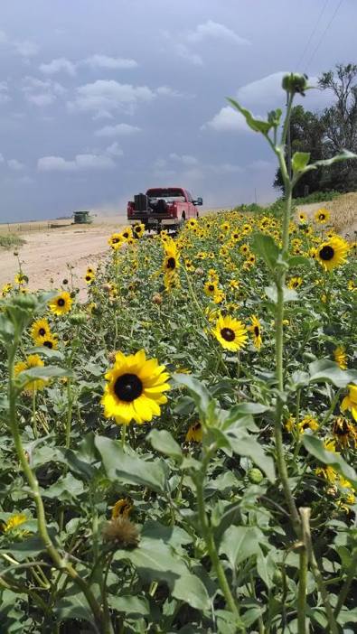 10478677_10100161210276957_572497094808312584_n