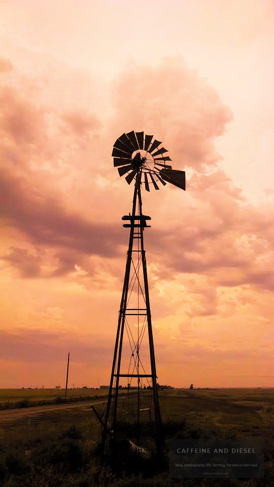 10494655_10100161215671147_7146853074233014256_n